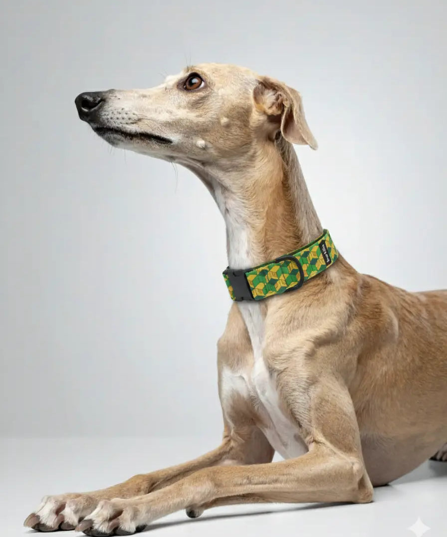 Pixel Grid dog collar, 4 cm width, ECONABLE recycled buckle, worn on Whippet in studio grey, handmade in EU.