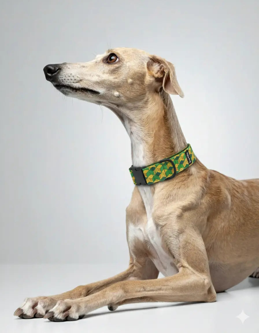 Pixel Grid dog collar, 4 cm width, ECONABLE recycled buckle, worn on Whippet in studio grey, handmade in EU.