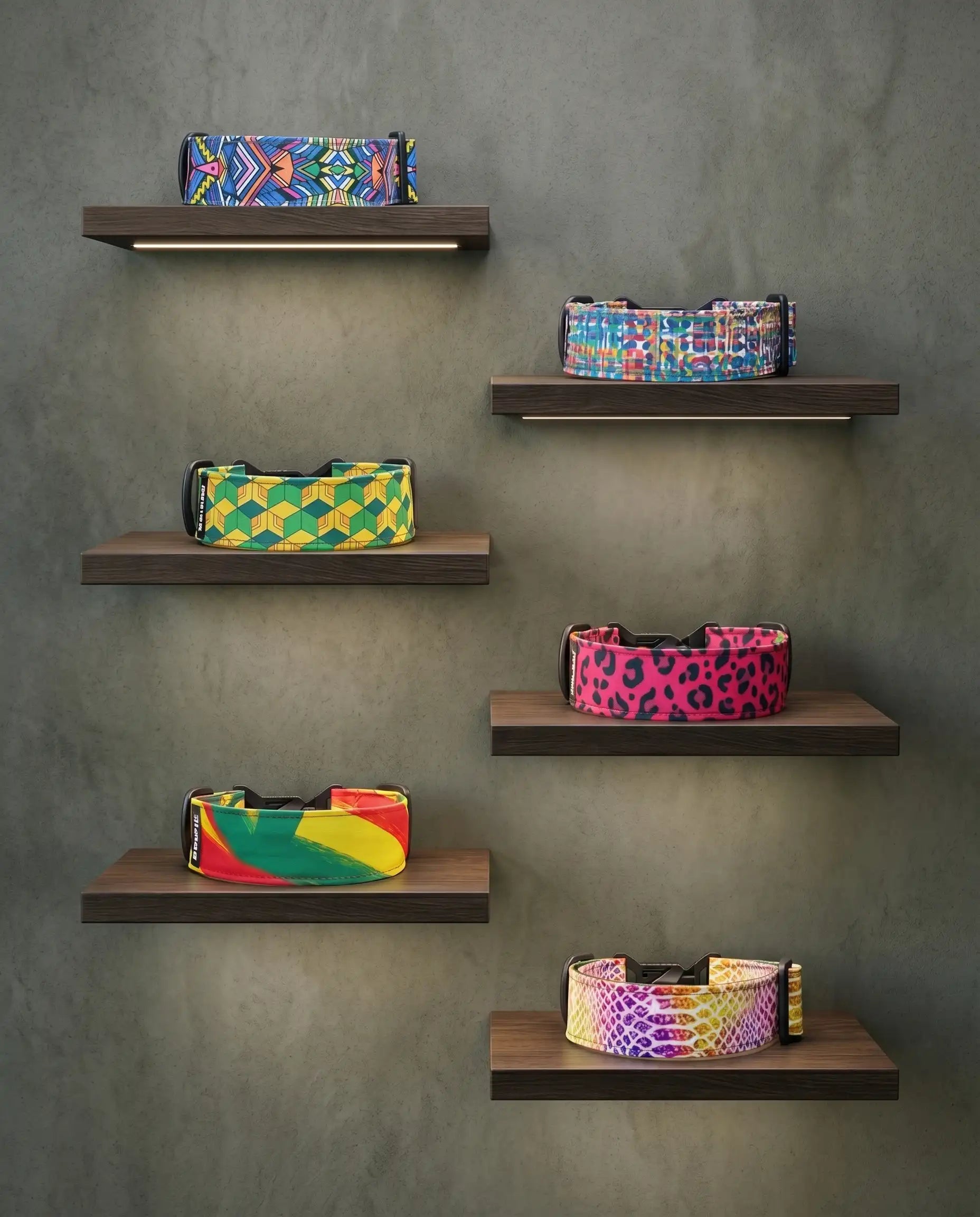 Colorful wide dog collars on floating shelves against a concrete wall in a premium Barklin studio setting