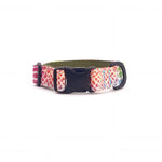 Dog collar in Barklin Kaleido Snake pattern, standard 2.5 cm width, shown in front arc view with visible ECONABLE buckle, stitched edges, and clean product structure.