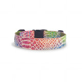 Dog collar in Barklin Kaleido Snake pattern, standard 2.5 cm width, shown in back arc view to highlight the continuous printed textile pattern and structured collar shape.