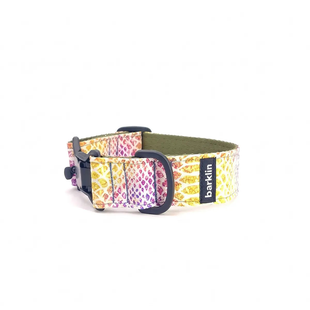 Wide dog collar 4 cm Kaleido Snake pattern showing full arc structure and width profile