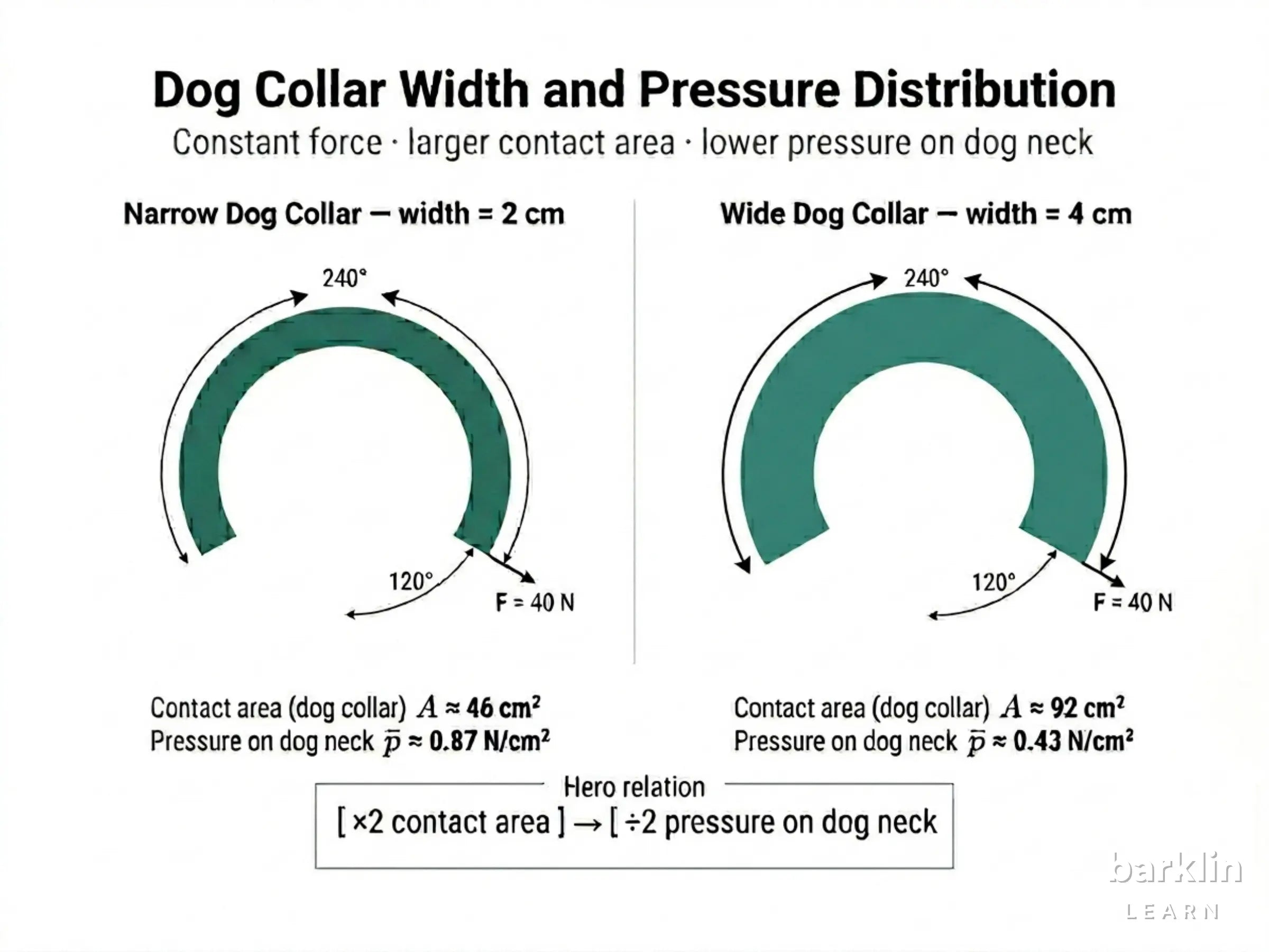 Cylinder model of dog neck with collar — wrap arc, width, and leash force annotated